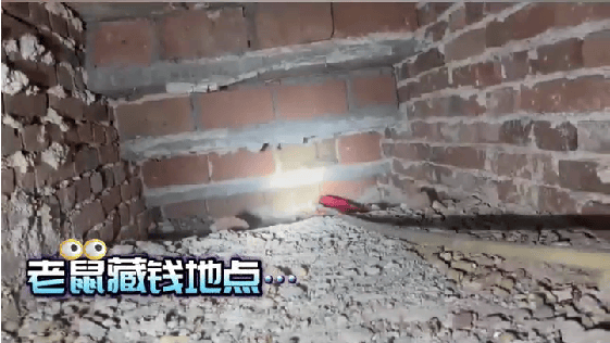 老人用红袜子包裹一万元现金藏在门框上<strong></p>
<p>全球供应链炒币</strong>，一天后不翼而飞，警方破案：偷钱的是老鼠