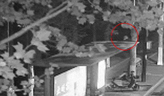 江苏一男子戴仿真“人皮”面具入室盗窃<strong></p>
<p>透打币</strong>，流窜多个小区作案，涉案金额达15万余元