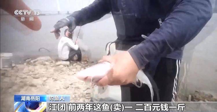 保护区里的“疯狂垂钓”屡禁不止<strong></p>
<p>透打币</strong>！记者调查