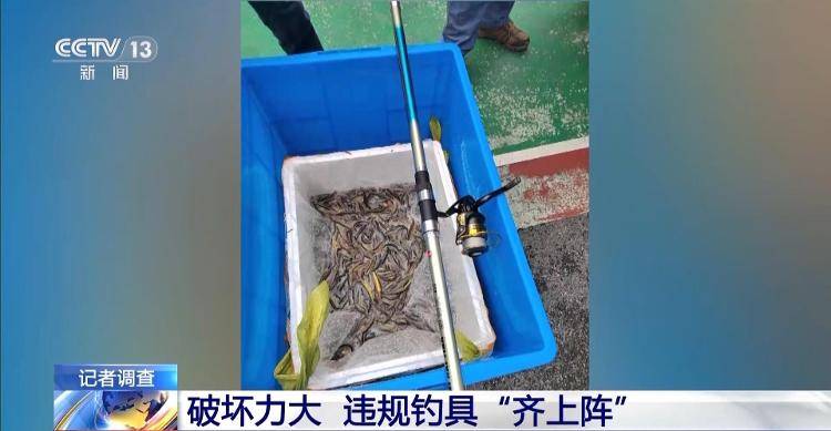 保护区里的“疯狂垂钓”屡禁不止<strong></p>
<p>透打币</strong>！记者调查