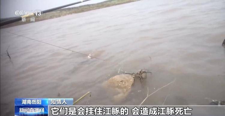 保护区里的“疯狂垂钓”屡禁不止<strong></p>
<p>透打币</strong>！记者调查