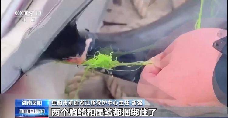 保护区里的“疯狂垂钓”屡禁不止<strong></p>
<p>透打币</strong>！记者调查