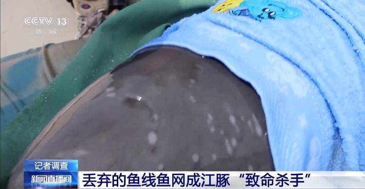 保护区里的“疯狂垂钓”屡禁不止<strong></p>
<p>透打币</strong>！记者调查