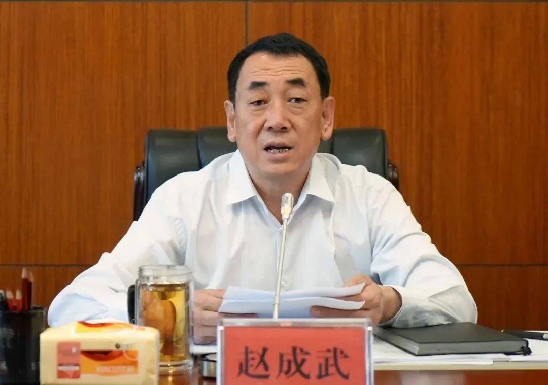 中央提级巡视时<strong></p>
<p>透打币</strong>，赵成武被查