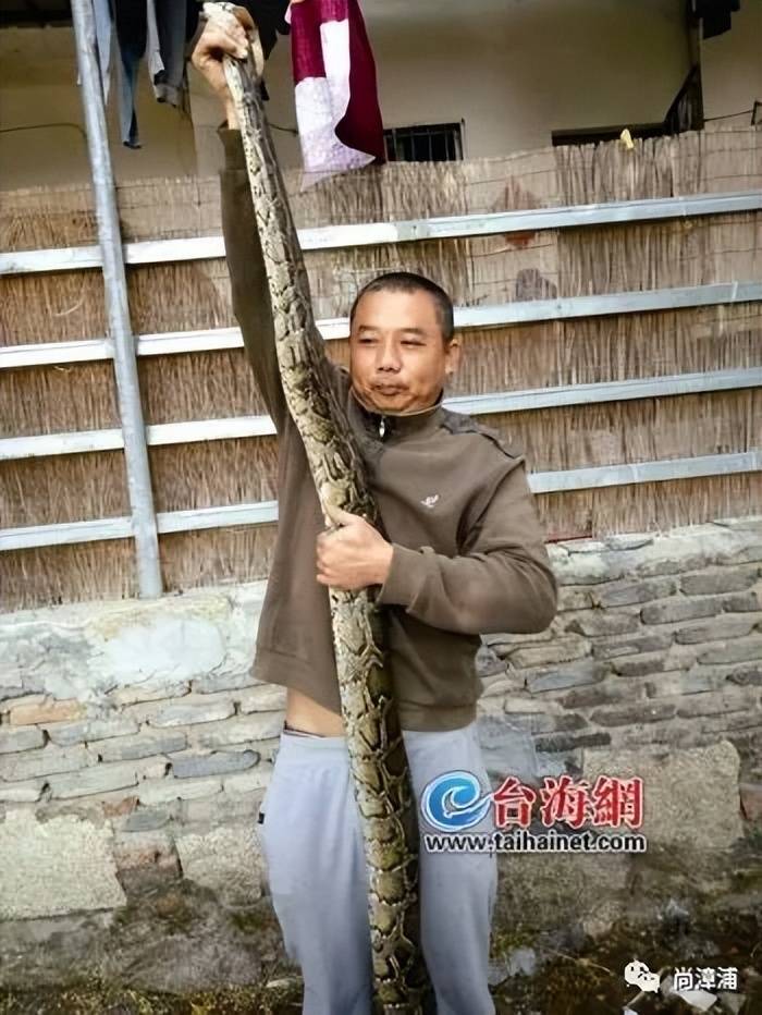 女游客疑被蛇咬伤身亡后<strong></p>
<p>币圈情况</strong>，博主“啊宝”讲毒蛇1天涨粉190万