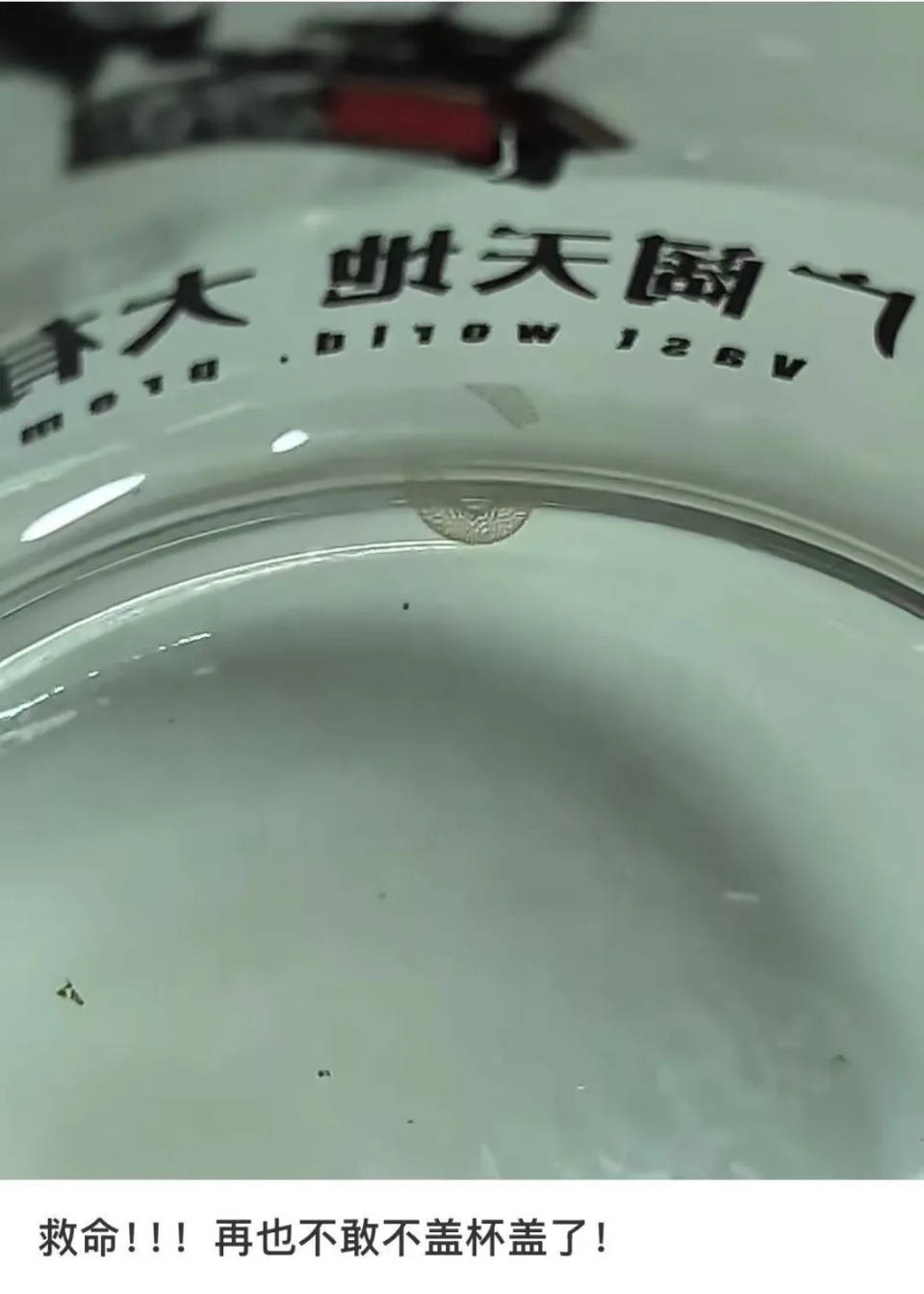 女子喝了隔夜水里的蚊子卵<strong></p>
<p>tokenpocket官网下载</strong>！专家：没事