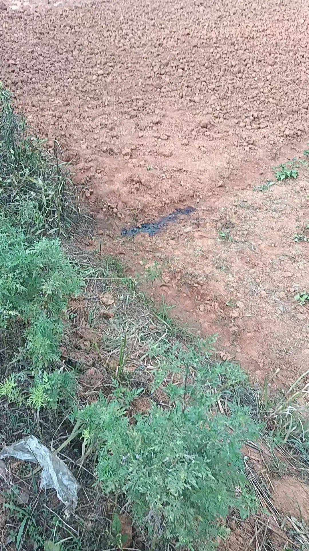 工人被误当猎物枪击身亡<strong></p>
<p>WBT</strong>，警方通报：屈某某、罗某某被刑拘