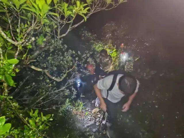 每人罚款5000元<strong></p>
<p>xlm币</strong>！深圳开出全国首张罚单