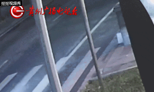 行人在斑马线上被SUV撞倒卷入车底<strong></p>
<p>xlm币</strong>，司机：我以为他们会让我……