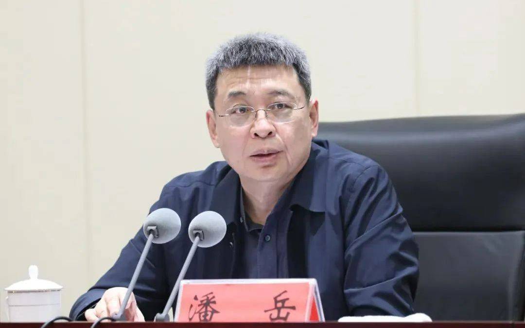 正部级潘岳<strong></p>
<p>xlm币前景</strong>，有新职