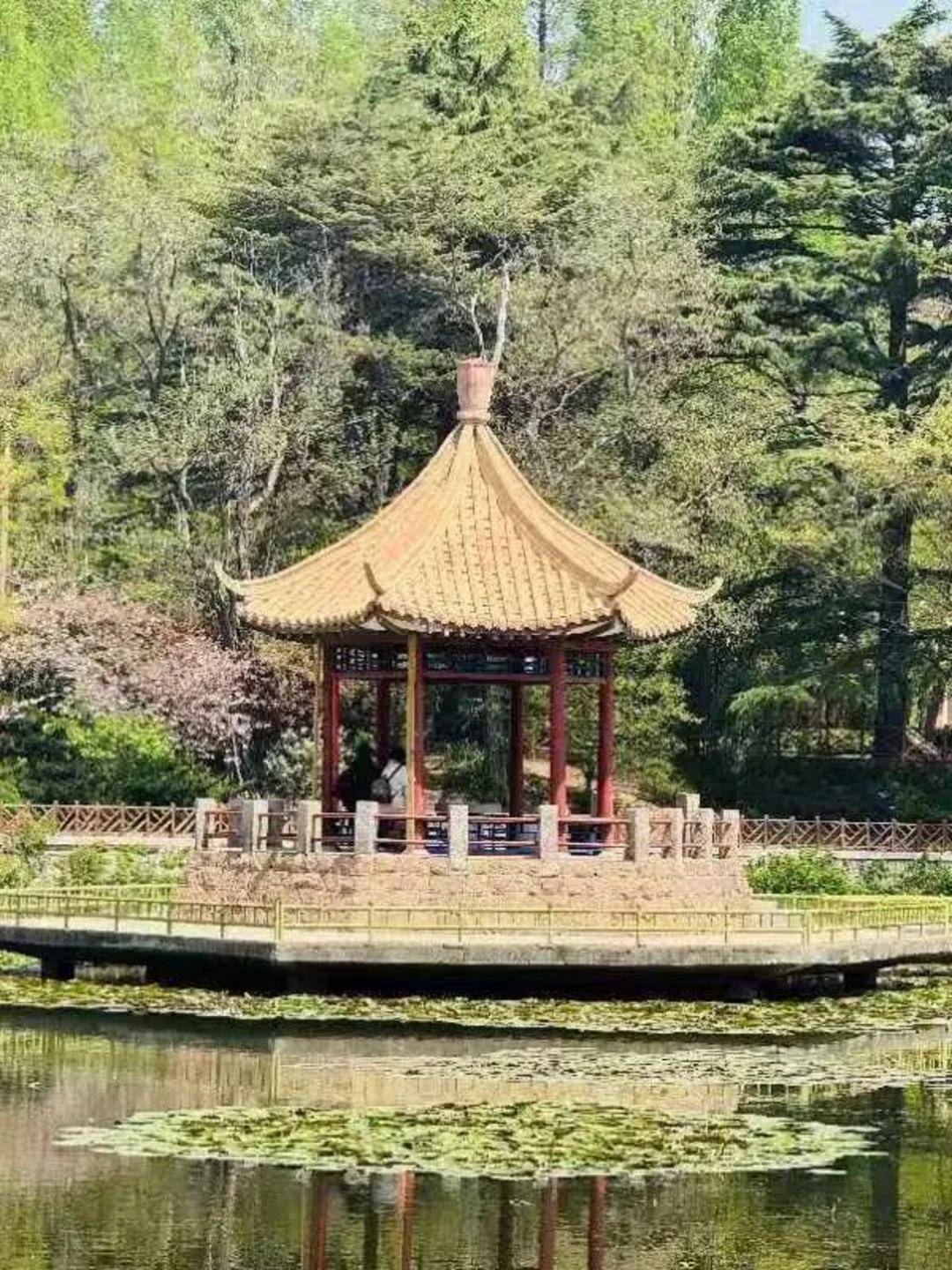青岛中山公园一凉亭突然倒塌：一年前刚完成修缮<strong></p>
<p>xmr</strong>，园方称无伤亡原因待查