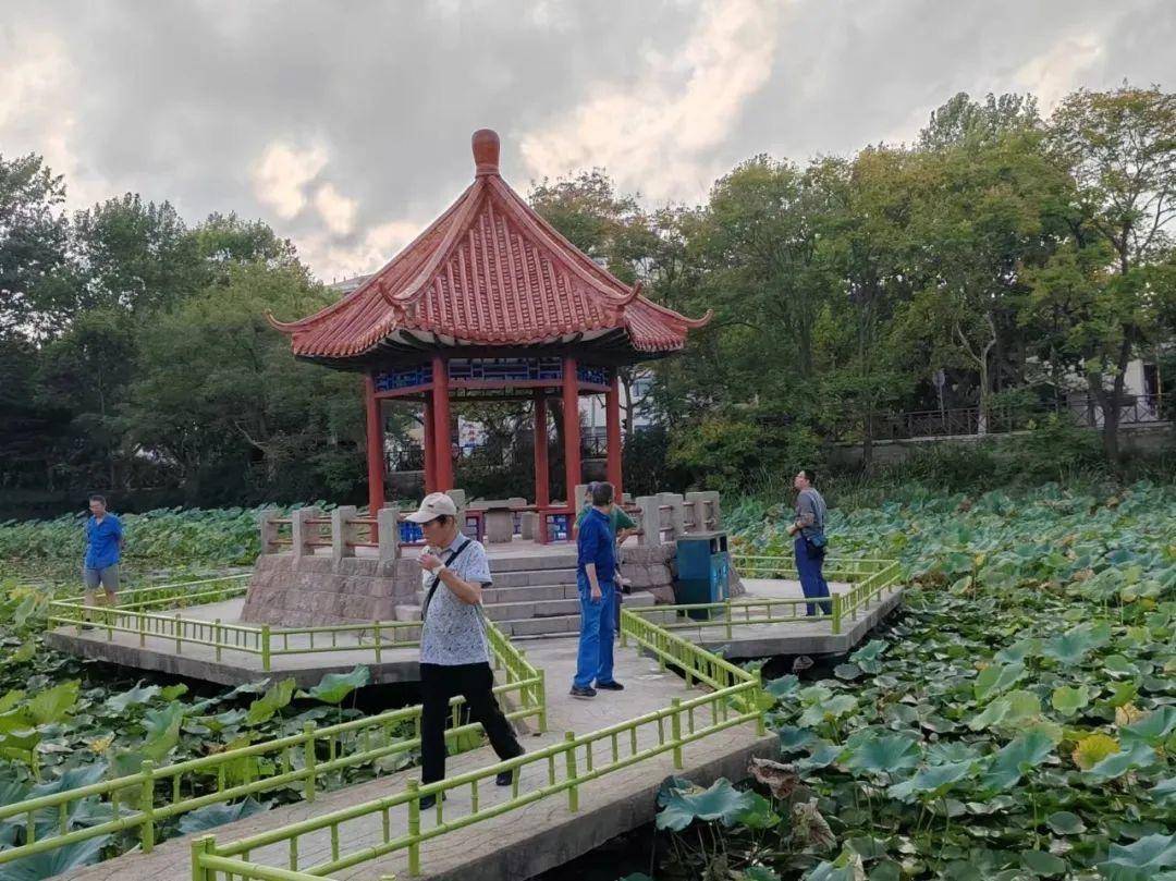青岛中山公园一凉亭突然倒塌：一年前刚完成修缮<strong></p>
<p>xmr</strong>，园方称无伤亡原因待查