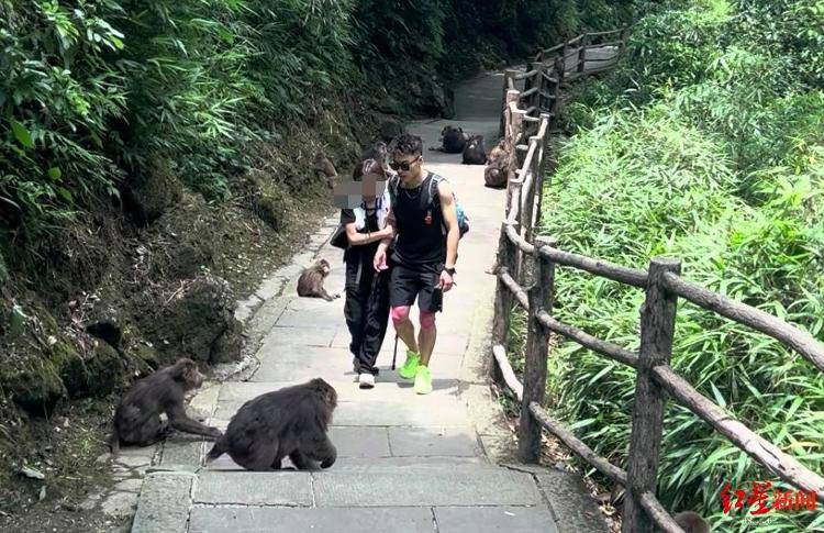 揭秘峨眉山陪爬团队：已陪爬千名游客九成为女性<strong></p>
<p>xmr币</strong>，不会主动拉背扛抱，主要保障安全
