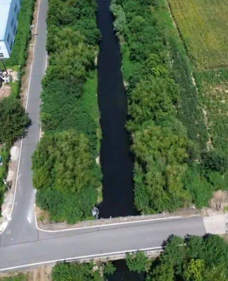 去年整改过的“黑水河”，今年怎么又黑了？ | 新京报快评