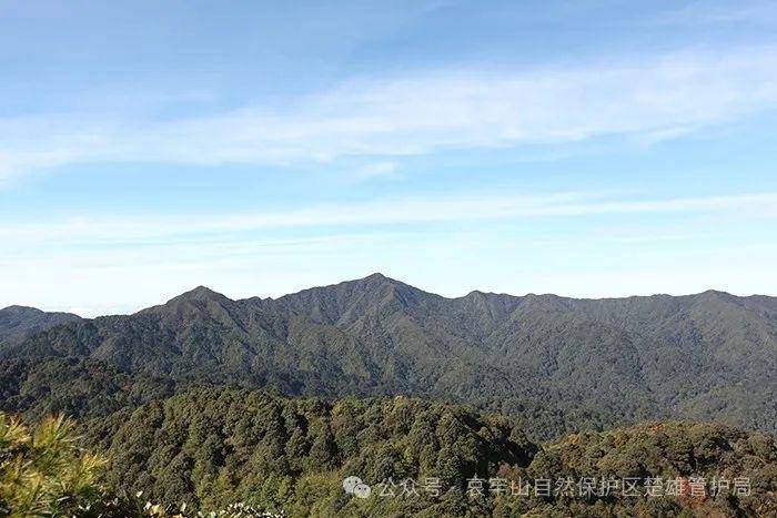 云南哀牢山新规出台：禁止任何单位和个人擅入哀牢山自然保护区<strong></p>
<p>xrp</strong>，从事科研活动须报批