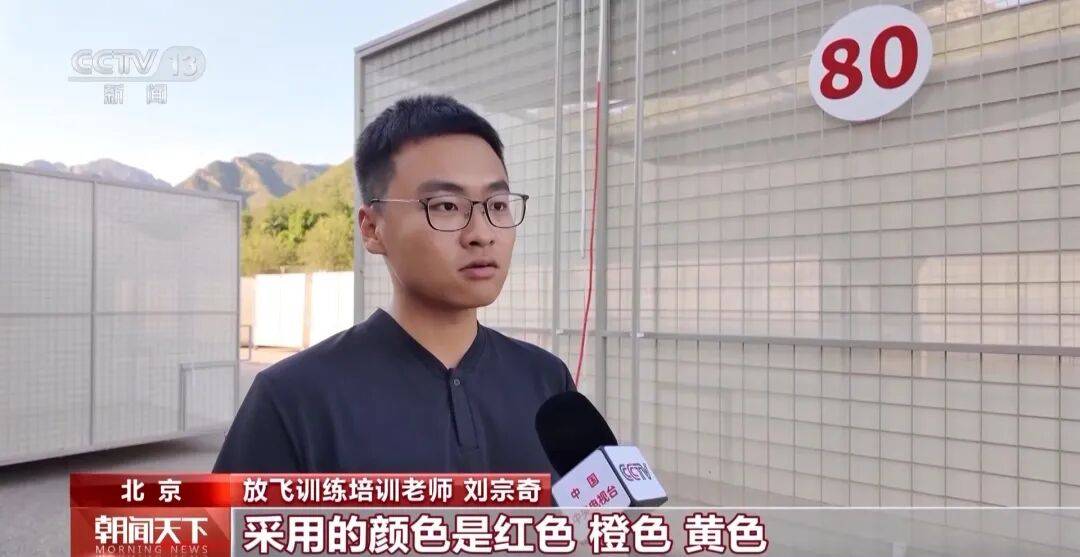 明天将放飞8万羽和平鸽、8万只气球<strong></p>
<p>xrp</strong>，揭秘！