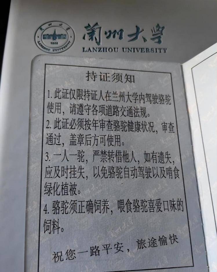 一人一驼<strong></p>
<p>xrp</strong>，骆驼尾气排放超标要扣分？兰大回应学生持证骑骆驼上学：骆驼驾驶证为学校文创，非官方证件