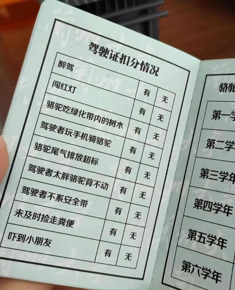 一人一驼<strong></p>
<p>xrp</strong>，骆驼尾气排放超标要扣分？兰大回应学生持证骑骆驼上学：骆驼驾驶证为学校文创，非官方证件