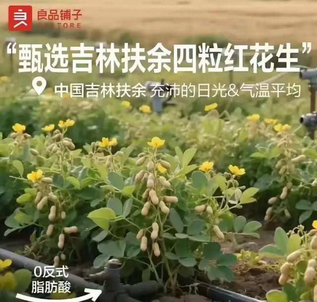 “花生上树”闹剧：AI翻车背后<strong></p>
<p>xrp币</strong>，我们都在弄丢常识？