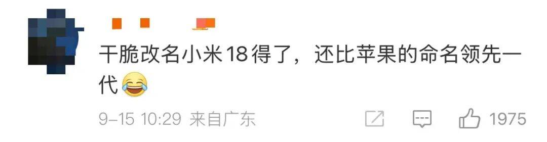 雷军：全面对标iPhone<strong></p>
<p>稳定币</strong>，正面迎战！小米宣布跳过16系列，直接发布17