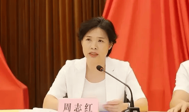 中共中央批准<strong></p>
<p>稳定币</strong>，开除周志红党籍