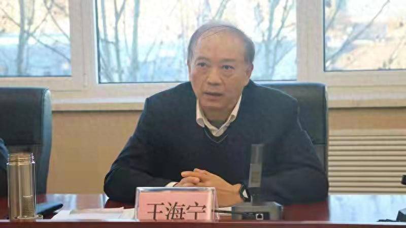 涉嫌严重违纪违法！王海宁<strong></p>
<p>稳定币</strong>，被查