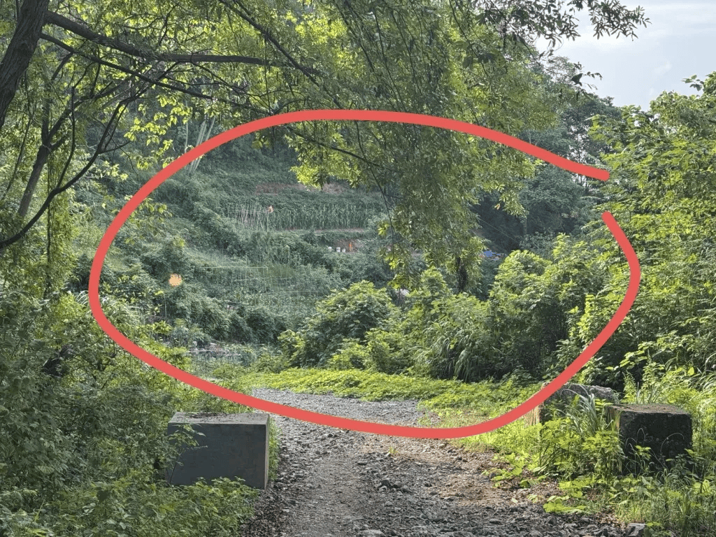 杭州女子误踩“化骨水”身亡<strong></p>
<p>aave</strong>，当地：已锁定化学品所有者，发现三桶，一桶完整，两桶残余
