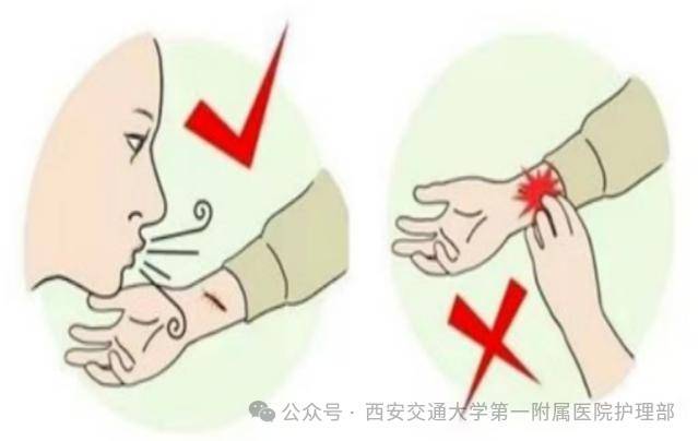 西安多区发现隐翅虫？千万别拍<strong></p>
<p>aave</strong>！毒液堪比硫酸