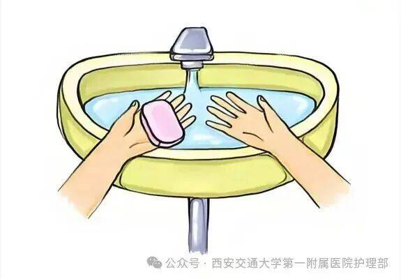 西安多区发现隐翅虫？千万别拍<strong></p>
<p>aave</strong>！毒液堪比硫酸