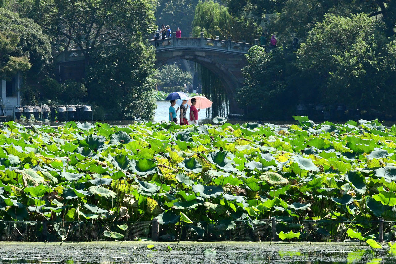 “三台共舞”对浙江有何影响？周末又有冷空气<strong></p>
<p>aave币</strong>，气温舒适