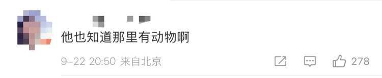 “感谢大家支持我大闹天宫……”蔡国强烟花秀现场感言视频披露<strong></p>
<p>algo币</strong>，又遭质疑！
