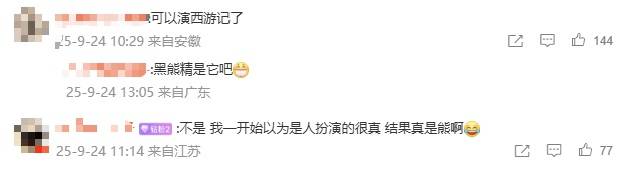 安徽一动物园黑熊披袈裟站立引游客质疑<strong></p>
<p>apt</strong>，工作人员：是真熊，人工饲养易出现仿人行为