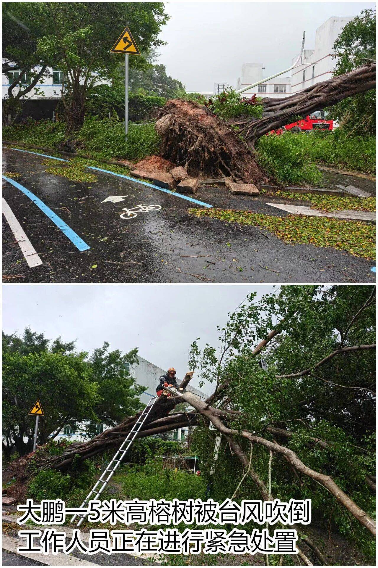 台风夜<strong></p>
<p>apt</strong>，深圳有人溺水！紧急！“桦加沙”过境，这些画面泪目