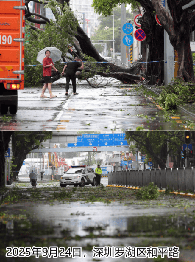 台风夜<strong></p>
<p>apt</strong>，深圳有人溺水！紧急！“桦加沙”过境，这些画面泪目