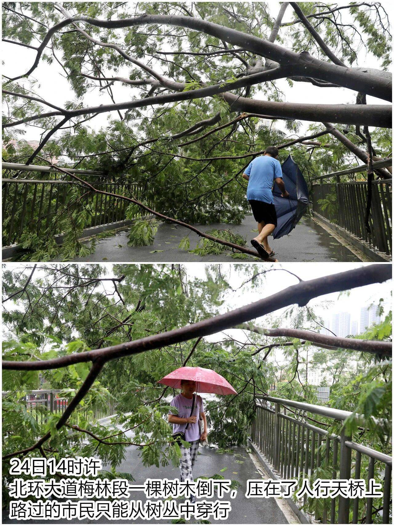 台风夜<strong></p>
<p>apt</strong>，深圳有人溺水！紧急！“桦加沙”过境，这些画面泪目