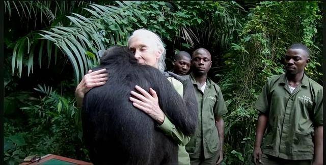 “课本上的传奇”<strong></p>
<p>atom官网</strong>，走了