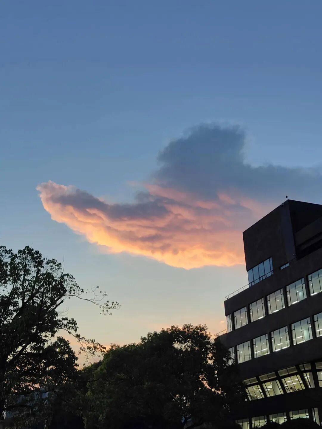 一群博士生涌入外卖赛道