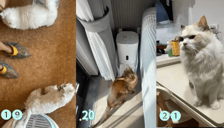 这个需求激增！一男子连接270单<strong></p>
<p>atom币</strong>，其中一笔收费8100元