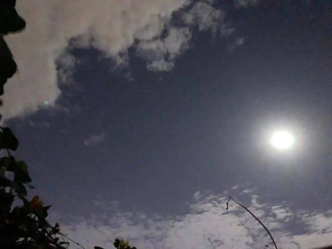 没有什么能阻挡!今天<strong></p>
<p>atom币</strong>,广西人就是要回家!