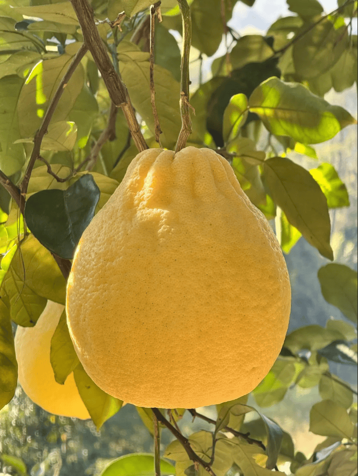 没有什么能阻挡!今天<strong></p>
<p>atom币</strong>,广西人就是要回家!