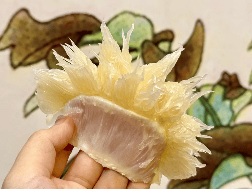 没有什么能阻挡!今天<strong></p>
<p>atom币</strong>,广西人就是要回家!