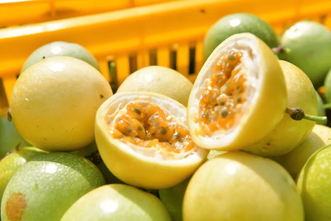 没有什么能阻挡!今天<strong></p>
<p>atom币</strong>,广西人就是要回家!