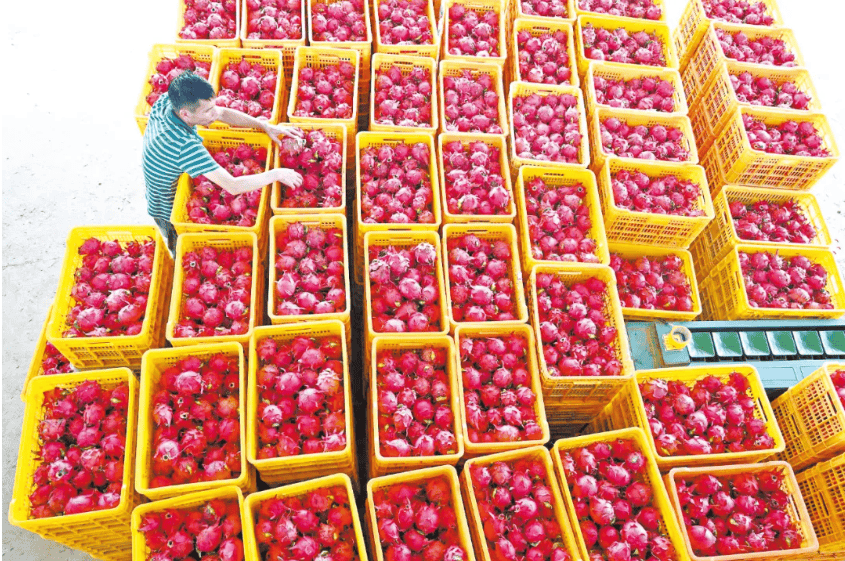 没有什么能阻挡!今天<strong></p>
<p>atom币</strong>,广西人就是要回家!