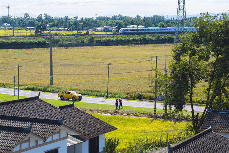 阖家团圆时<strong></p>
<p>BCH</strong>，他们守护蓉城灯火