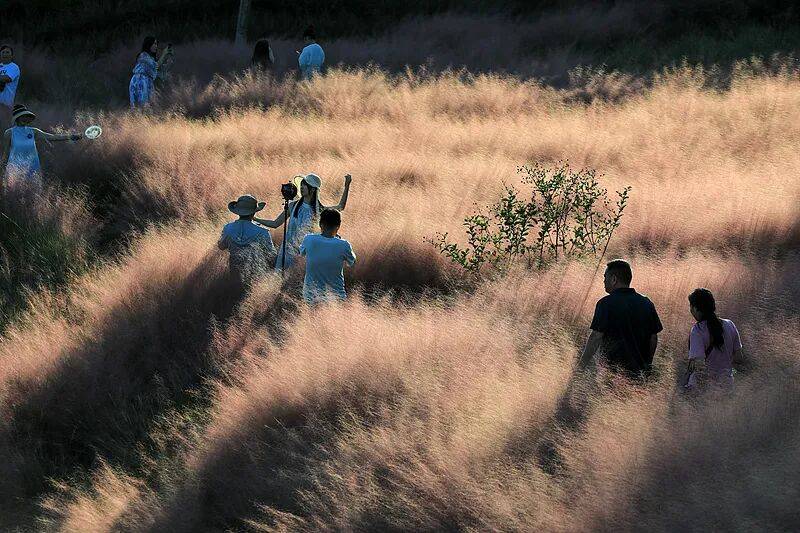 打卡拍照<strong></p>
<p>BCH</strong>，再美也不能用生命对焦