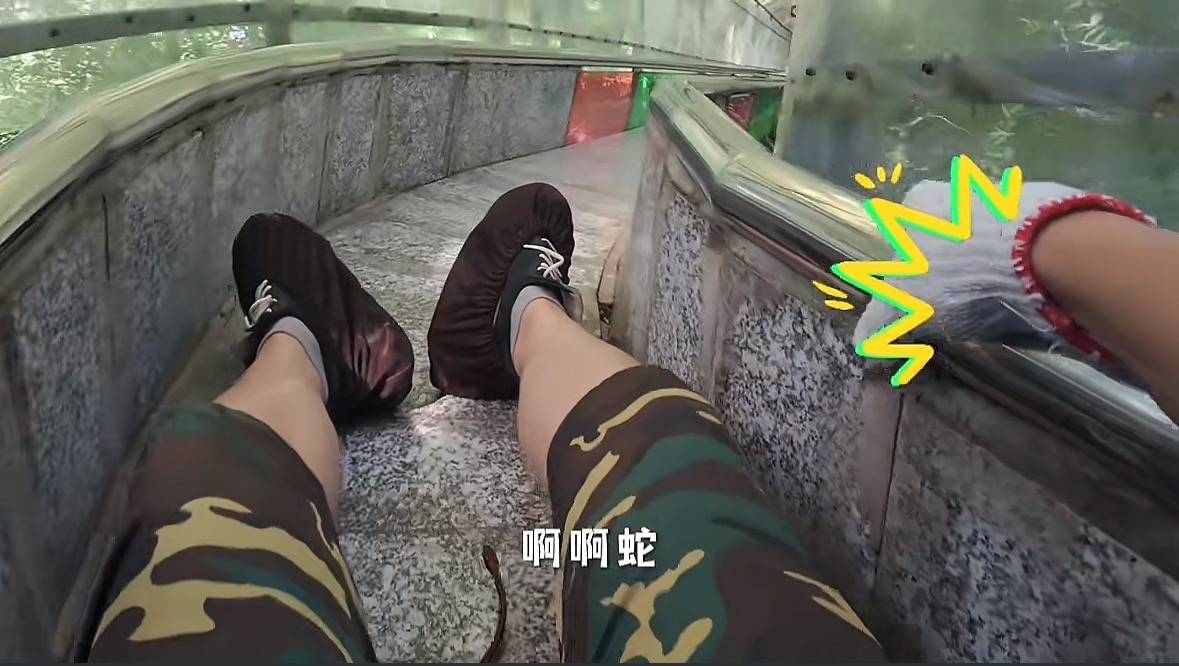 游客称在广西丹炉山滑道遇蛇<strong></p>
<p>bch币价格</strong>，景区致歉：这么多年就这一次，每年都做防蛇处理