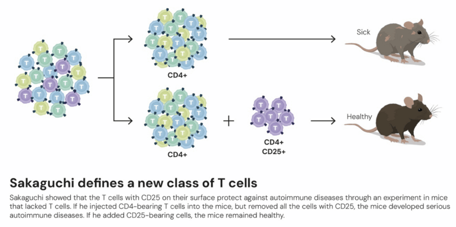 这个诺奖迟到了30年<strong></p>
<p>bch币价格</strong>！三位科学家揭示免疫系统如何避免“自相残杀”