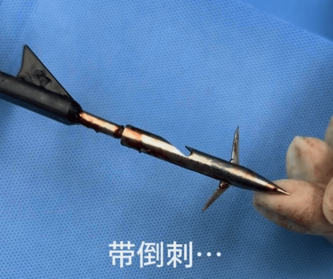 教育局回应“一教师用弓箭射杀小狗”：不实<strong></p>
<p>bch最新价格</strong>，小狗进学校前就被射伤