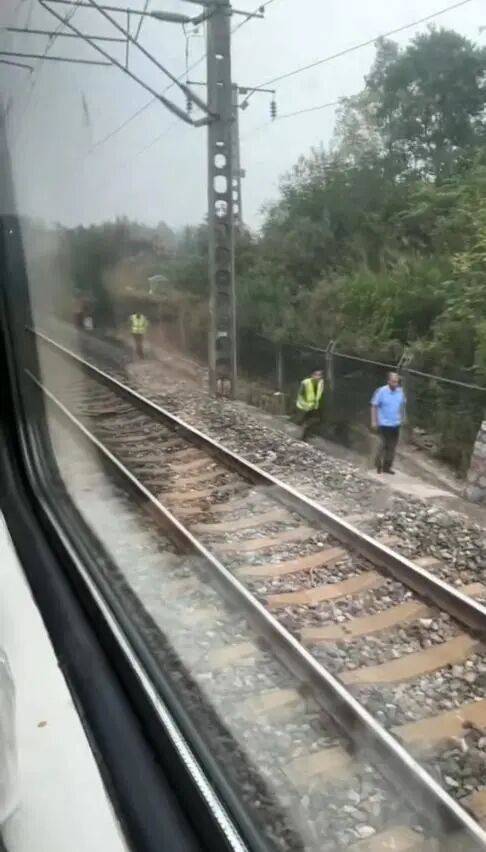 湖北一列车撞上野猪致停运<strong></p>
<p>bch最新价格</strong>，铁路局：野猪已无害化处理，列车正常运行；附近曾发生多起野猪伤人事件