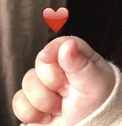 热热热<strong></p>
<p>bch最新价格</strong>，未来几天最高气温将达35℃！